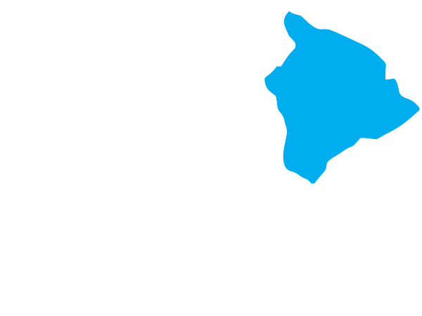 Big Island Divers